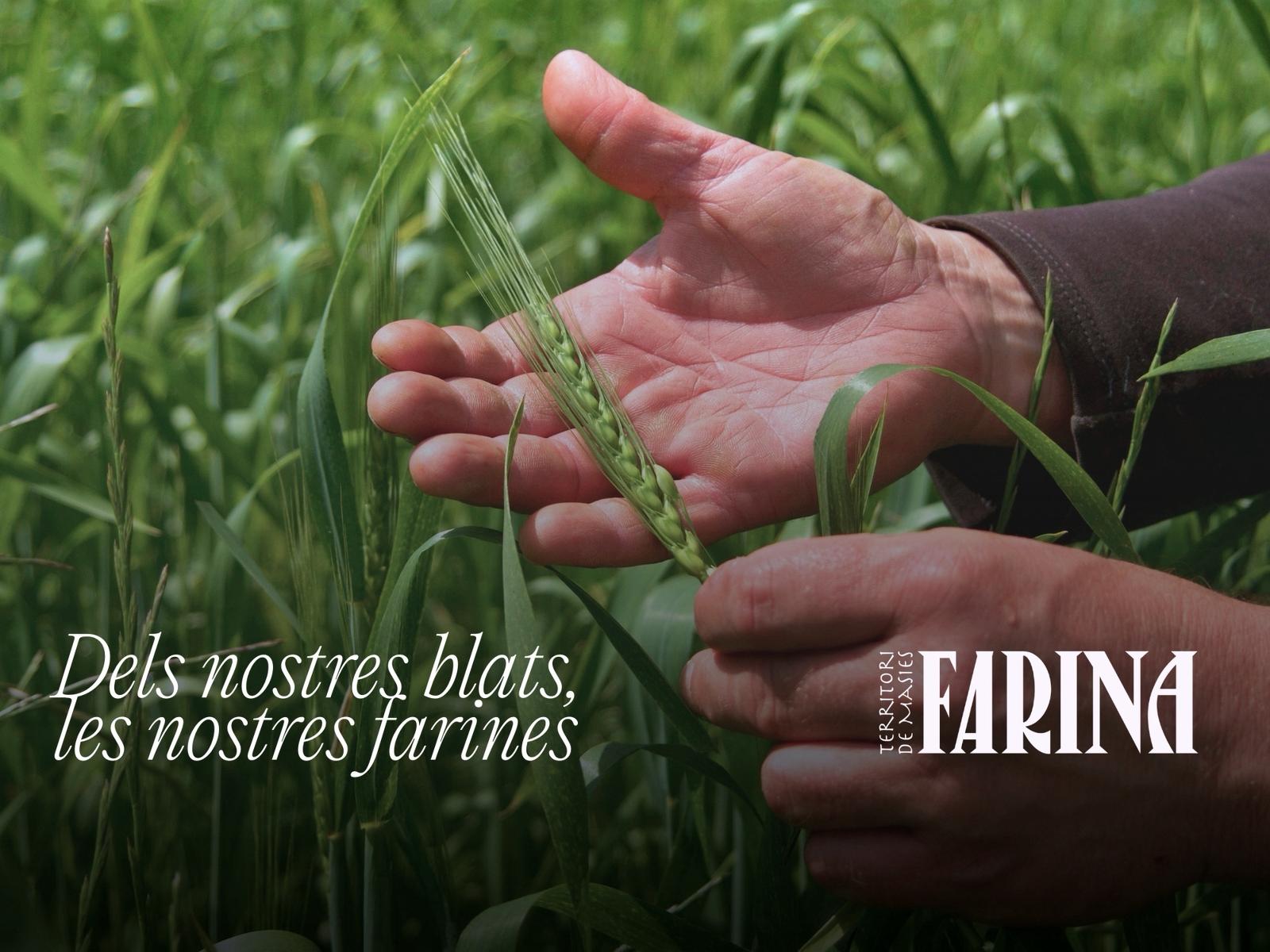 Imatge de capçalera de la campanya